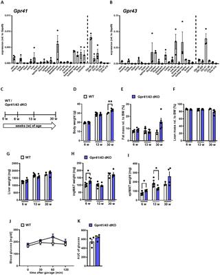 The short-chain fatty acid receptors Gpr41/43 regulate bone mass by promoting adipogenic differentiation of mesenchymal stem cells